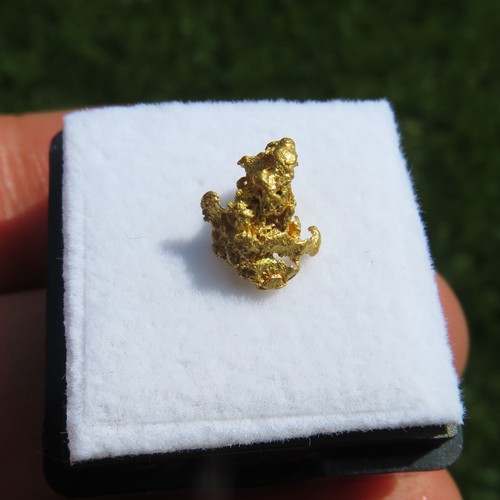 Minerali rara pepita d oro - ***, d'oro