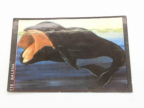 Natura viva figurina - (1976),