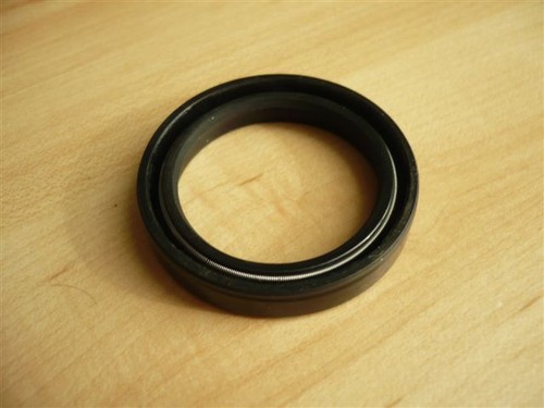 Paraolio cuscinetto - paraolio, di