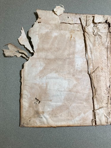 BIBLIOFILIA-RESTAURO