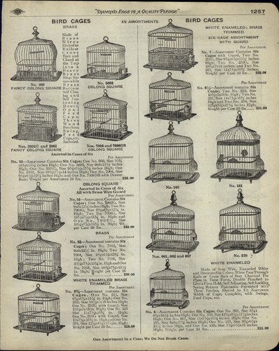 1918 carta pubblicitaria pg - 4,