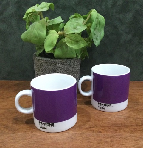 Set tazze espresso - tazze,