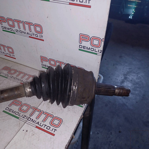 51955476 semialbero ant - 51955476,