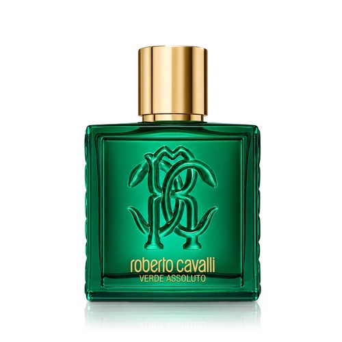 Roberto cavalli uomo verde - roberto,