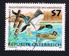 AUSTRIA ÖSTERREICH 1 FRANCOBOLLO CACCIA E AMBIENTE ANATRE 2001 usato (BÖ2747)
