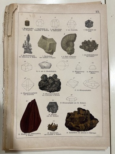 Stampa antica incisione 1888