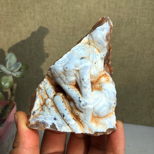 Raro bonsai suiseki gobi - raro,