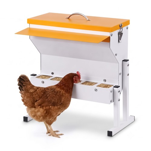 Mangiatoia automatica polli