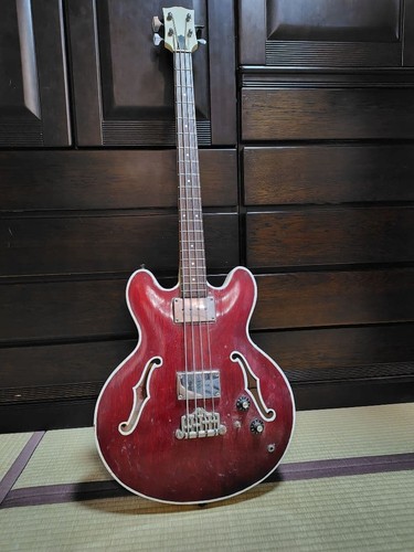Basso elettrico semi acustico - elettrico, semi-acustico