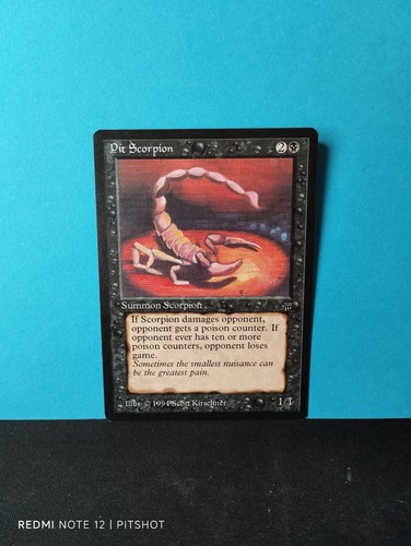Pit scorpion scorpione - /,