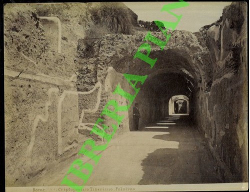 Fotografia roma - -,