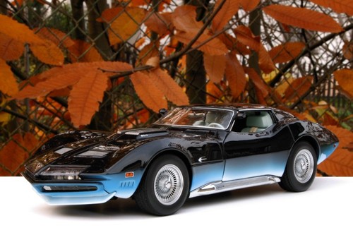 Chevrolet corvette manta ray - chevrolet,