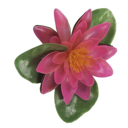 Ninfea galleggiante rosa - galleggiante,