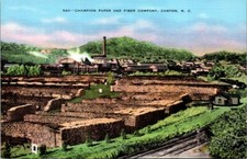 Cartolina 540 Campione Carta e