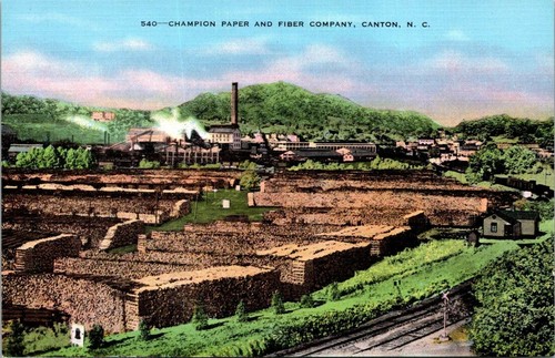 Postcard 540 champion - postcard,