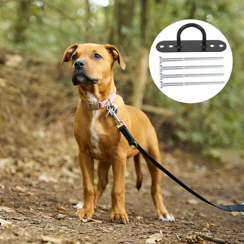 Palo per cani tie - palo,