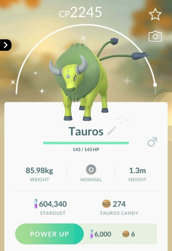Shiny tauros c - tauros,