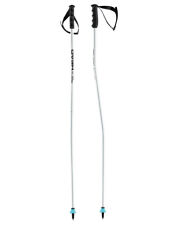 Bastoncini da sci profilati