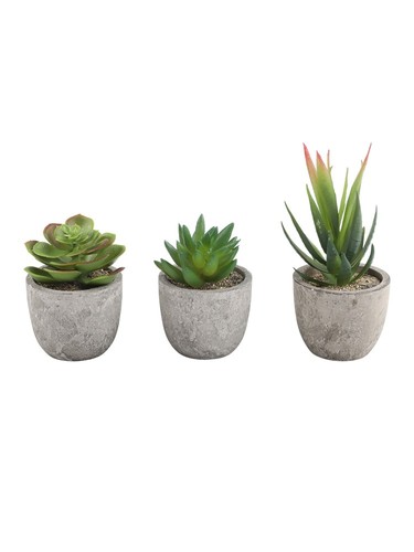 Piante grasse artificiali - , da