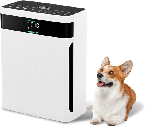 Purificatore aria con filtro - con,