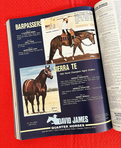 1991 quarter horse journal - quarter,