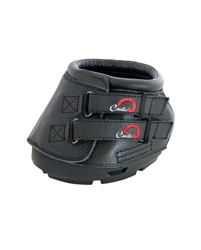 Cavallo horse rider - cavallo,