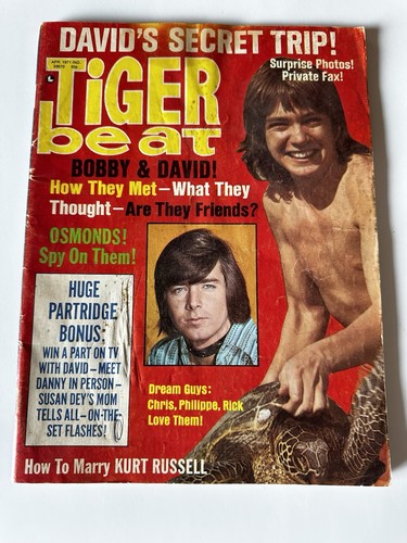 1971 tiger beat mag david - tiger,