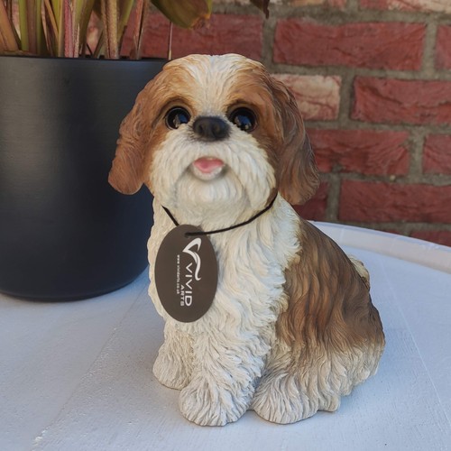 Vivid arts sitting shih - sitting, shih-tzu