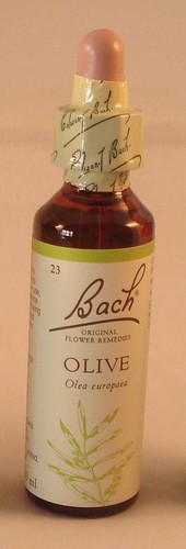 Rimedi fiori bach - rimedi, bach,