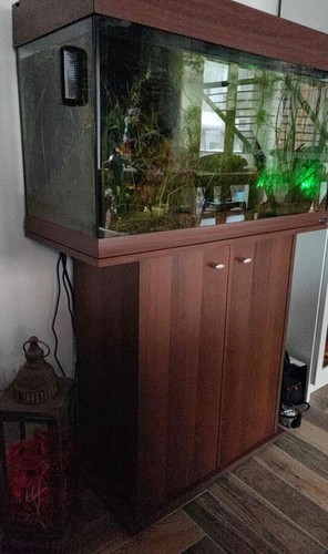 Acquario dubai marrone 81 - 80,