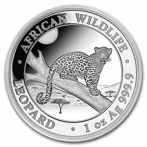 Somalia leopard african - somalia,