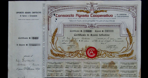 Certificato azionario societa - certificato, societa'