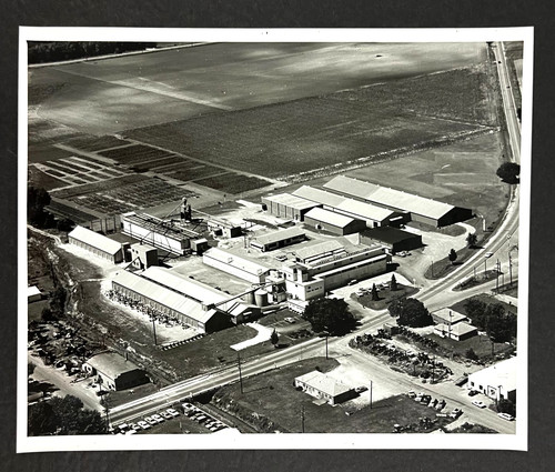 Pioneer corn company - pioneer, anni