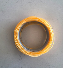 Scientific Anglers Mastery