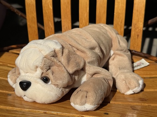 Bulldog inglese cucciolo