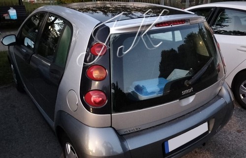 Ala spoiler tetto per smart - ala,