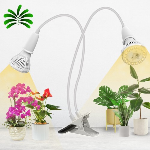 Lampada led per - per, piante