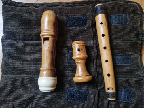 Flauto dolce soprano del - flauto,