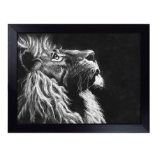 Majestic Lion Illustration Lap