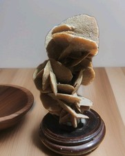 BELLA ROSA DEL DESERTO ORIGINALE ALTEZZA  17 CM Sc7