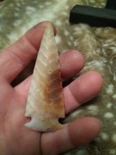 Coda di rondine unica Brier