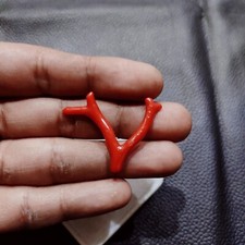 Ramo di corallo rosso italiano