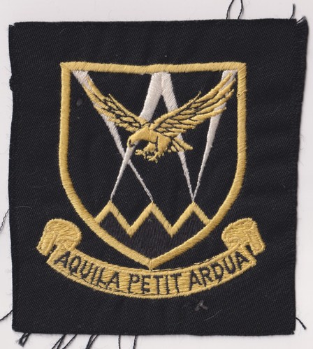 Saaf squadron patch aquila - saaf,