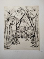 Affascinante Carboncino