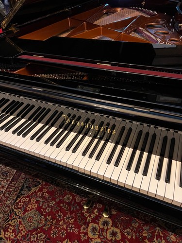 Bösendorfer pianoforte coda - bÖsendorfer,