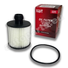 Filtro Olio per Tagliando Auto