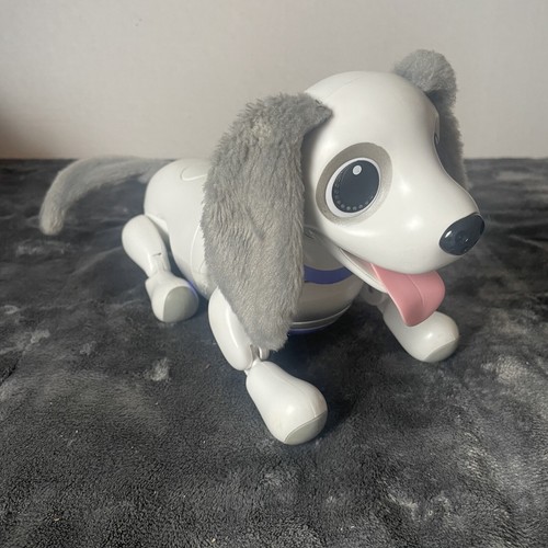 Zoomer cucciolo giocoso cane - cucciolo, giocoso,