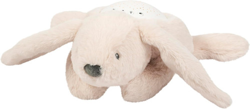 Luce notturna led orso koala - orso,