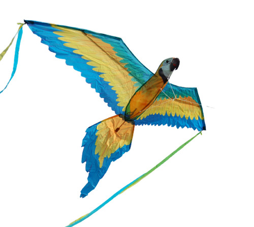 Aquilone pappagallo corpo - aquilone, 3d