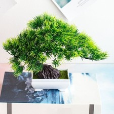 Bonsai Simulazione Pianta